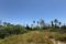 bolshoj-uchastok-s-proektom-villy-v-peshej-dostupnosti-do-puerto-banus-i-pljazha_img_ 17