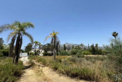 bolshoj-uchastok-s-proektom-villy-v-peshej-dostupnosti-do-puerto-banus-i-pljazha_img_ 15