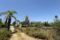 bolshoj-uchastok-s-proektom-villy-v-peshej-dostupnosti-do-puerto-banus-i-pljazha_img_ 15