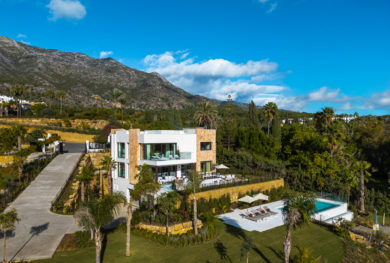 ekskljuzivnaja-villa-v-marbella-hill-club_img_ 3